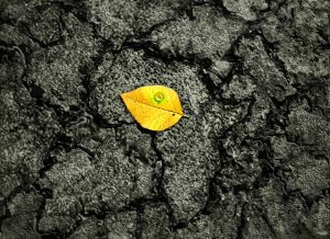 WhatsApp Image 2023-08-21 at 14.14.54