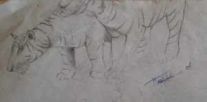 WhatsApp Image 2023-09-03 at 22.53.23x